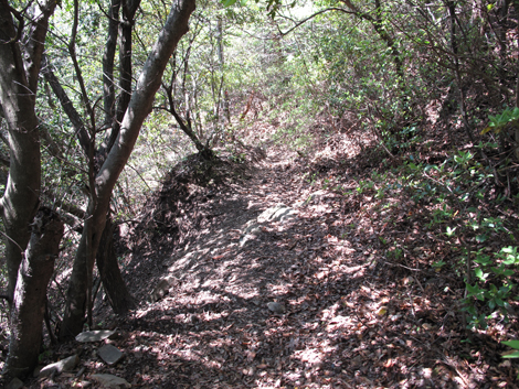 20140419hike (242)